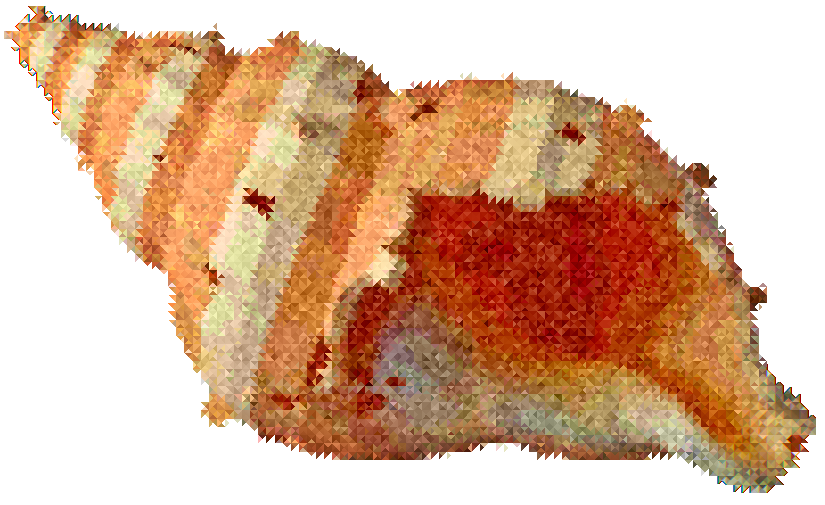 Why I Started a Shell Company